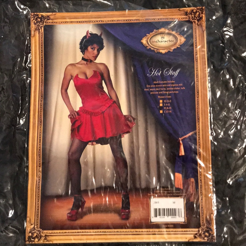 Devil Costume - image 1